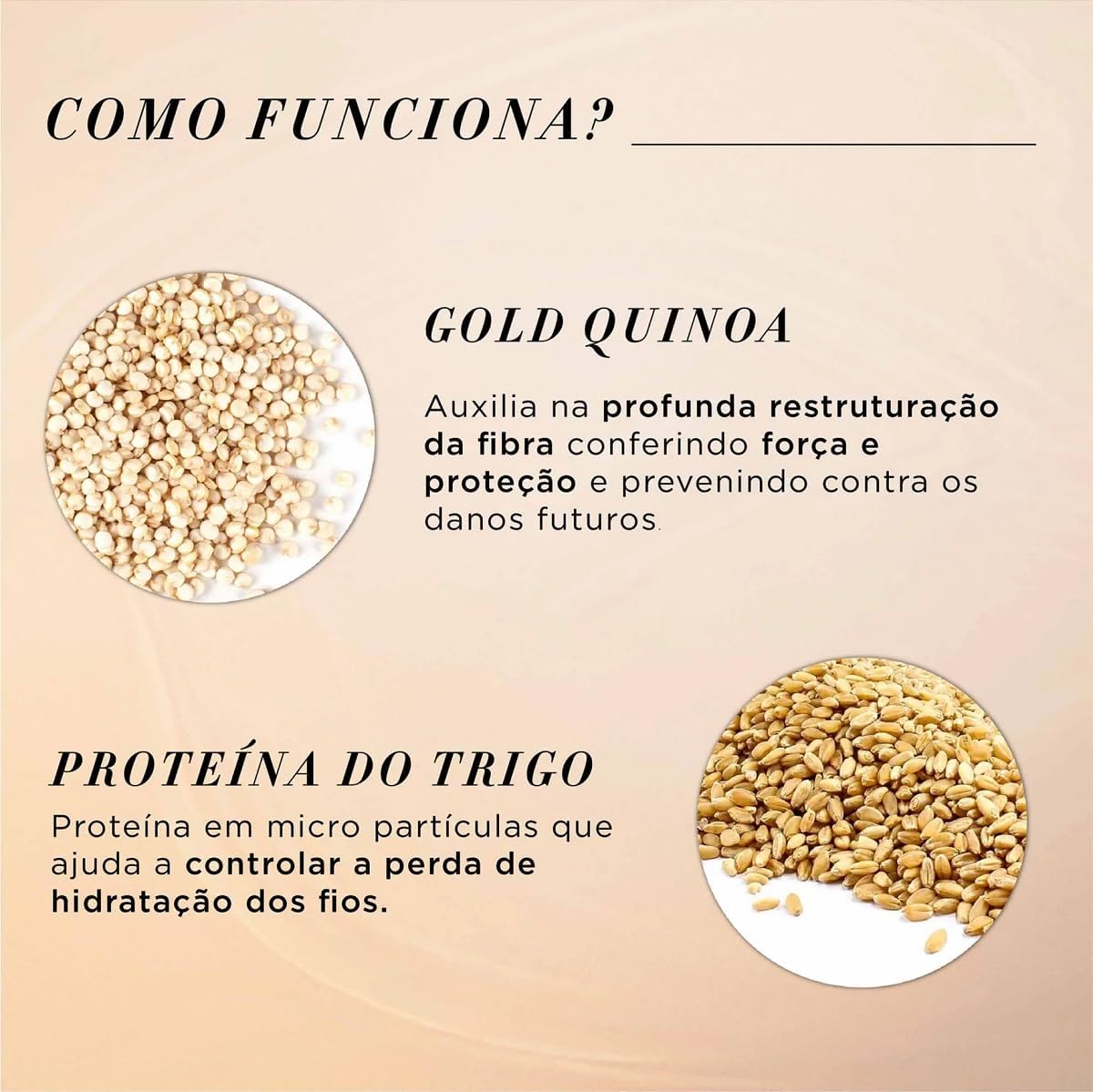 Kit Shampoo e Condicionador Loreal Professionnel Absolut Repair Gold Quinoa + Protein Pequeno